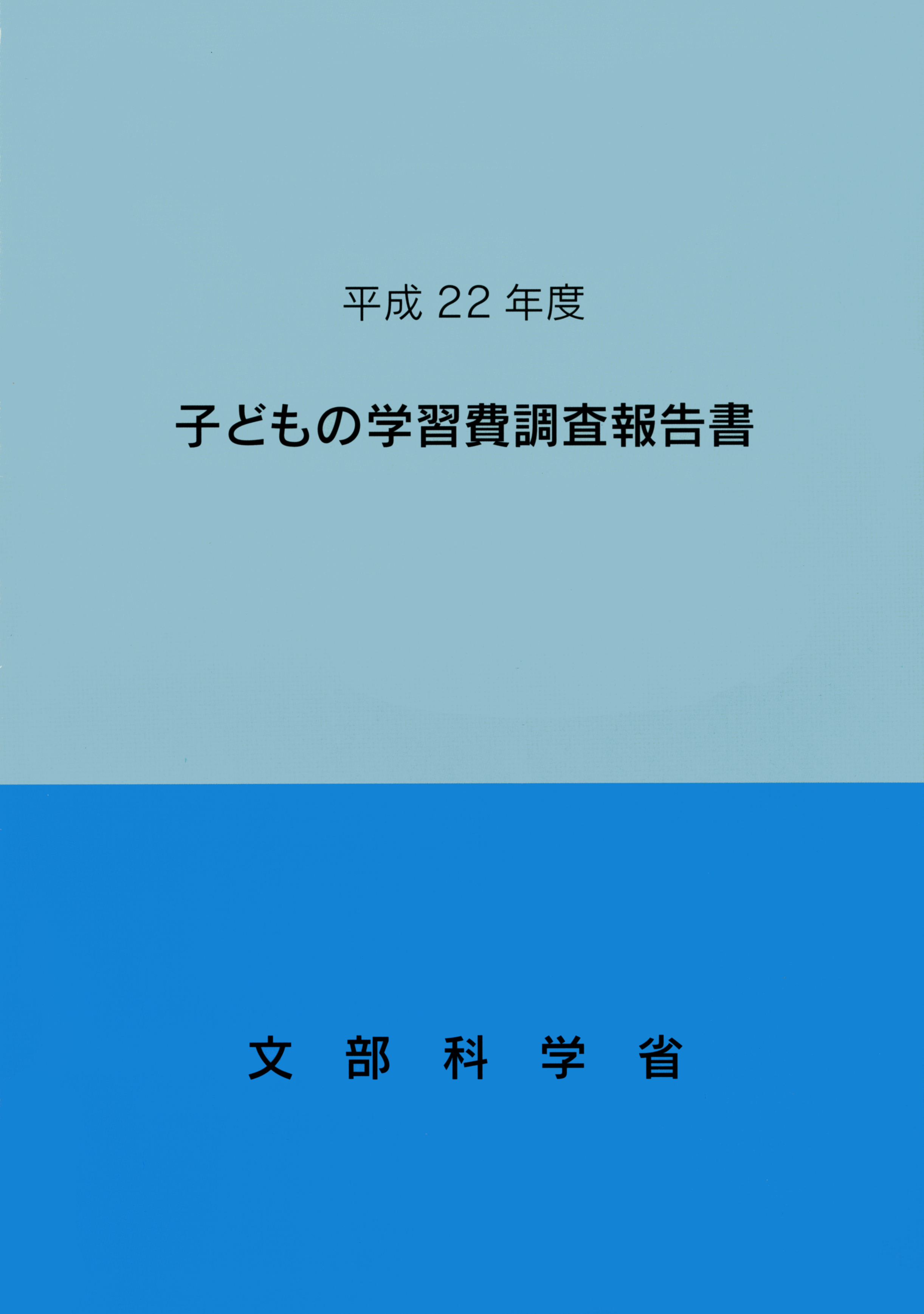 qǂ̊wK񍐏_22